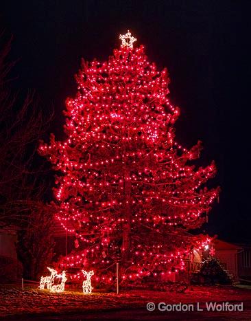 Holiday Lights_19504-9.jpg - Photographed at Smiths Falls, Ontario, Canada.